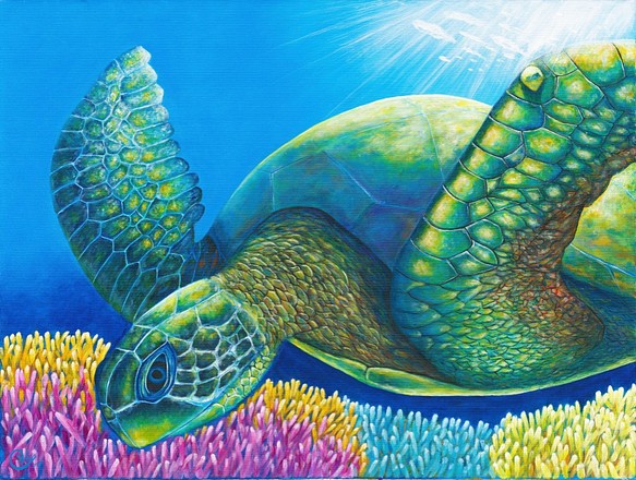 海龜繪畫《我屬於的地方》sea turtle painting "The Place I Belong" 第1張的照片