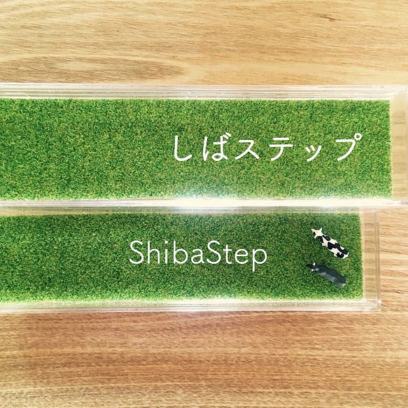 しばステップ〜ShibaStep〜 1枚目の画像