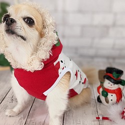 犬服　【受注製作】赤　犬服　スノーマン　ＣＨＲＩＳＴＭＡＳ　パーカー　タンクトップ　 1枚目の画像