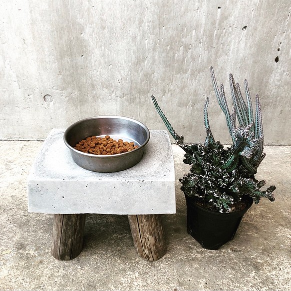 【コンクリートスツール 平】サスティナブル オブジェ 植物 庭 ガーデニング 玄関 インテリア サイドテーブル 石 犬 1枚目の画像