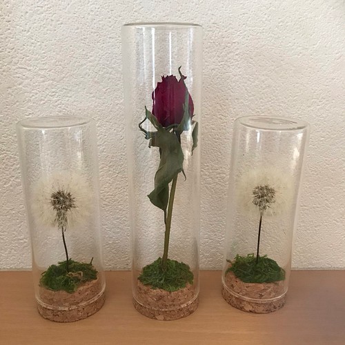 ドライフラワー たんぽぽの綿毛とバラの瓶詰め フラワー リース Cho Bo Fleur 通販 Creema クリーマ ハンドメイド 手作り クラフト作品の販売サイト