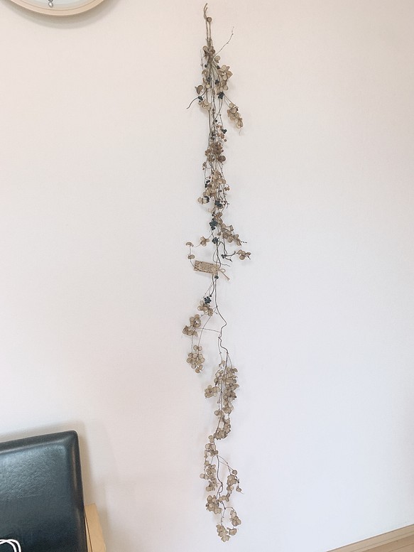ドライフラワー  山芋の花殻とヘクソカズラと山葡萄の長い長いスワッグ 1枚目の画像