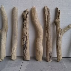 ハンドメイド・アンティーク素材の定番・流木全長20～28ｃｍの8本セット❧ 1枚目の画像