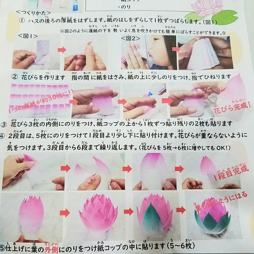 蓮紙 再入荷‼️》人気のカラフル21個Bセット☆ その他素材 蓮の花紙 ...