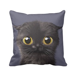 貓咪细毛绒抱枕(黑貓藍黑色底)提供客製化訂做 第1張的照片
