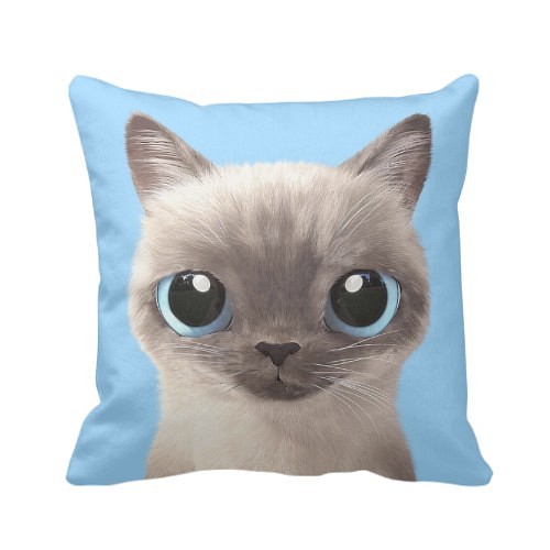 貓咪细毛绒抱枕(暹羅貓天藍色底)提供客製化訂做 第1張的照片