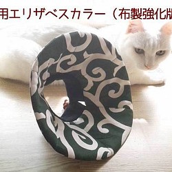 洗える猫用エリザベスカラー【唐草・緑】 1枚目の画像