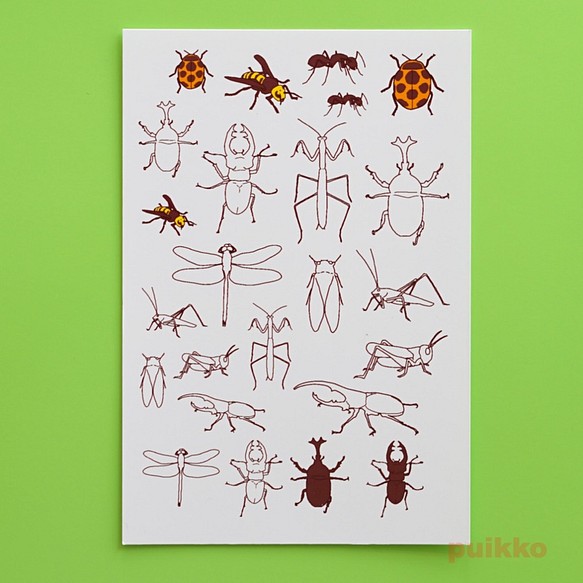 昆蟲紋身貼紙 第1張的照片