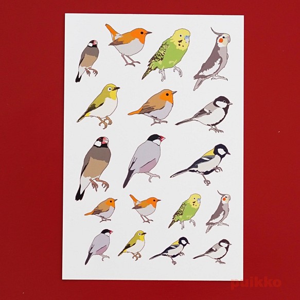 鳥紋身貼紙 第1張的照片