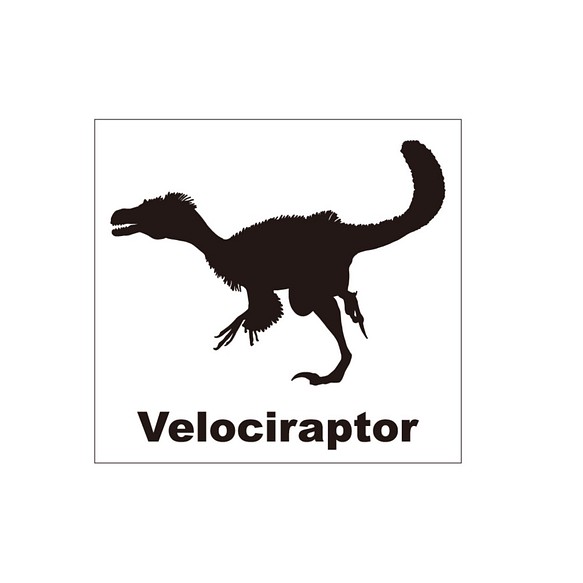 恐竜ステッカー　ヴェロキラプトル 1枚目の画像