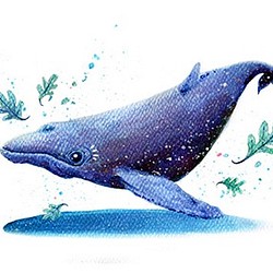 心靈鯨魚明信片 第1張的照片