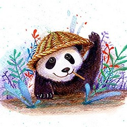 流浪熊貓明信片 第1張的照片