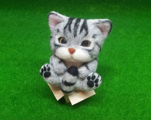 紙箱控 / 灰虎紋貓 第1張的照片