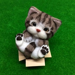 カートンコントロール/ Ma Ling Tiger Cat 1枚目の画像