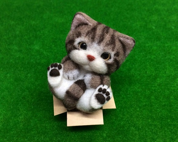 紙箱控 / 麻啡虎紋貓 第1張的照片
