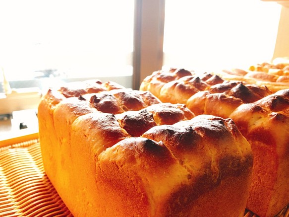 アルテの食パン 北海道産100%贅沢とうもろこし食パン「どさんこ もろこ」【土曜発送限定9月29日まで】 1枚目の画像
