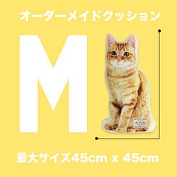 【オーダーメイド】クッション ◇サイズM ペット オリジナルクッション 犬 猫 うちの子クッション 高品質 01 1枚目の画像
