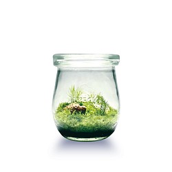 苔のテラリウム作成キット Bタイプ フラワー リース Feel The Garden 通販 Creema クリーマ ハンドメイド 手作り クラフト作品の販売サイト