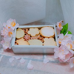 桜咲く はるいろクッキー缶 小【15日までの販売となります】 1枚目の画像