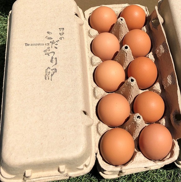 【ギフトセット用】野田養鶏園 こだわり卵 １０個 1枚目の画像