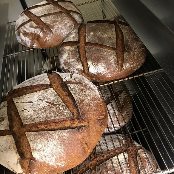 リクエスト品［ライ麦100%ドイツパン:ローゲンシュロートブロート］2個と「ベルリーナラントブロート」1本 1枚目の画像