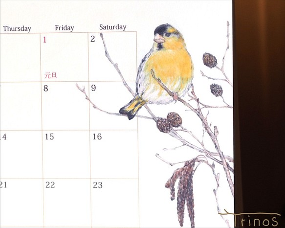 野鳥のカレンダー 2021 (卓上版) 1枚目の画像