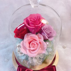 玫瑰浪漫玻璃罩 第1張的照片