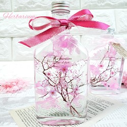 桜　ハーバリウム　₊✼̥*ˈ インテリア　プレゼント　ギフト　　春　贈り物 1枚目の画像