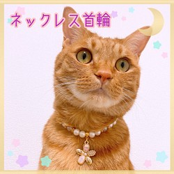猫の首輪ピンク系ビーズ✨ネックレス首輪♡大きめお花チャーム.* 1枚目の画像
