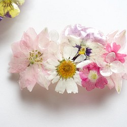 ♡本物のお花♡優しいピンクのお花バレッタ 1枚目の画像