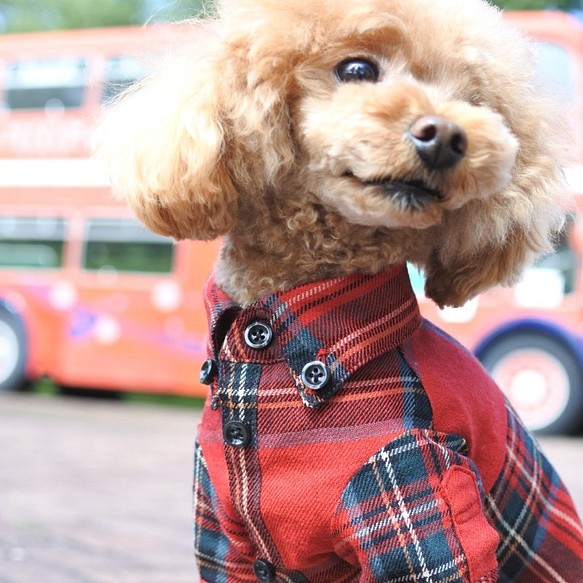 おしゃれな犬の服｜ビエラチェックシャツ（レッド） 1枚目の画像