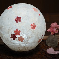 まんまる桜のランプシェード(大)～ライト付き!! 1枚目の画像