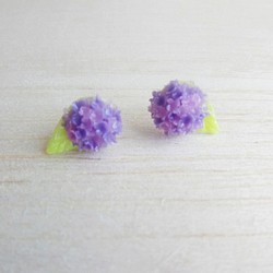 紫色雙色繡球花  純銀耳環/耳夾 第1張的照片