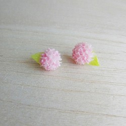 粉紅雙色繡球花  純銀耳環/耳夾 第1張的照片