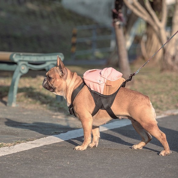 樂瑞森︱寵物散步後背包 (限定櫻花粉) 第1張的照片