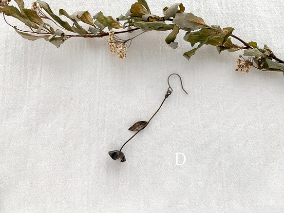 Dry flower pierce / D 1枚目の画像