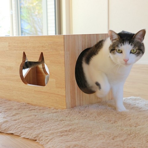 猫ハウス キャットハウス ペットハウス 名前が入ります ハウス 小屋 Workshop 4481 通販 Creema クリーマ ハンドメイド 手作り クラフト作品の販売サイト