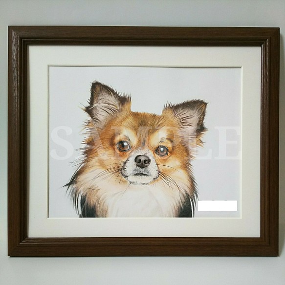 色鉛筆画 犬の絵 No.1 1枚目の画像