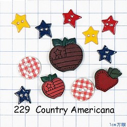 【USAボタン】Country Americana【ff0229】 1枚目の画像