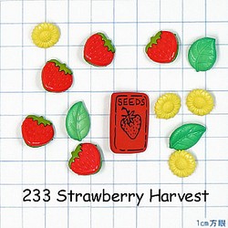 【USAボタン】Strawberry Harvest【ff0223】 1枚目の画像