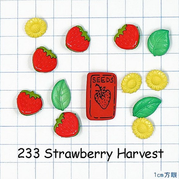 【USAボタン】Strawberry Harvest【ff0223】 1枚目の画像