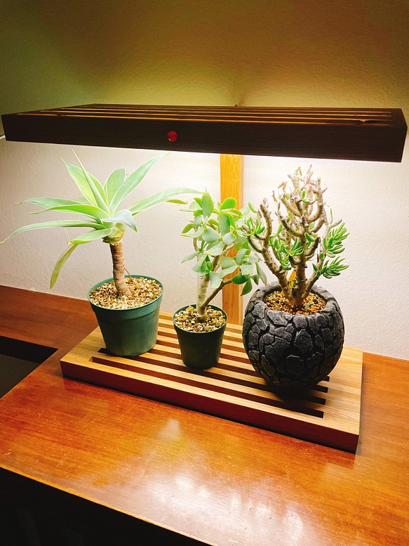 植物育成ledライトスタンド Led4灯 一輪挿し 花瓶 花器 29 通販 Creema クリーマ ハンドメイド 手作り クラフト作品の販売サイト