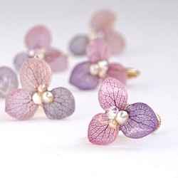 紫陽花イヤリング  3枚花弁ハナノメグミ桜紫 受注生産 1枚目の画像