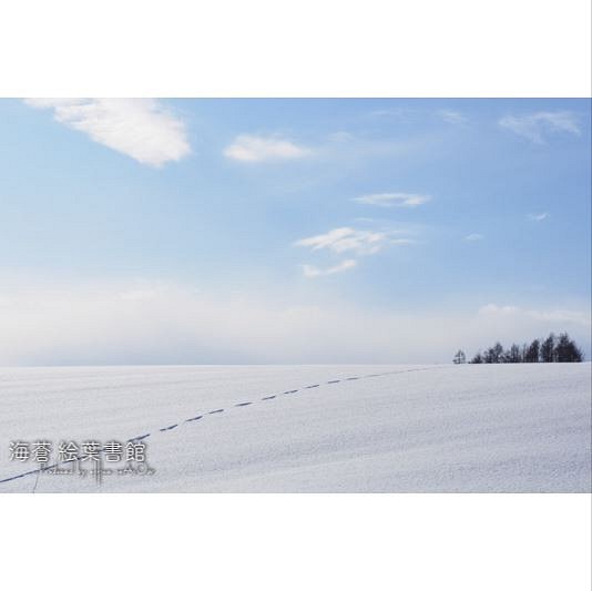 【A4フォト】冬凪の丘 1枚目の画像