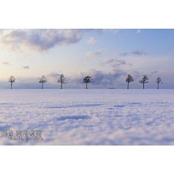 【A4フォト】再会の冬メルヘン 1枚目の画像