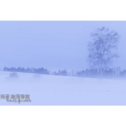 【A4フォト】霧雪 1枚目の画像