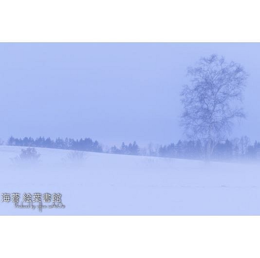 【A4フォト】霧雪 1枚目の画像