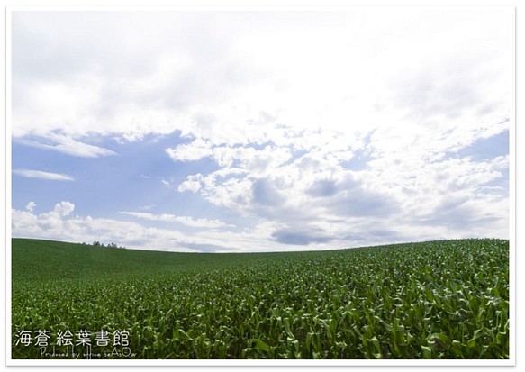 [A4照片] Tokibi的隆起山丘 第1張的照片
