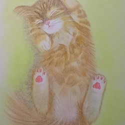 B5サイズ【手描き原画★１点もの】ふんわりヘソ天子猫【マット入りの額つき】 1枚目の画像