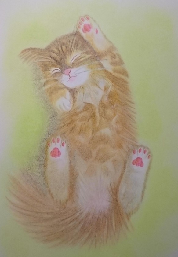 B5サイズ【手描き原画★１点もの】ふんわりヘソ天子猫【マット入りの額つき】 1枚目の画像